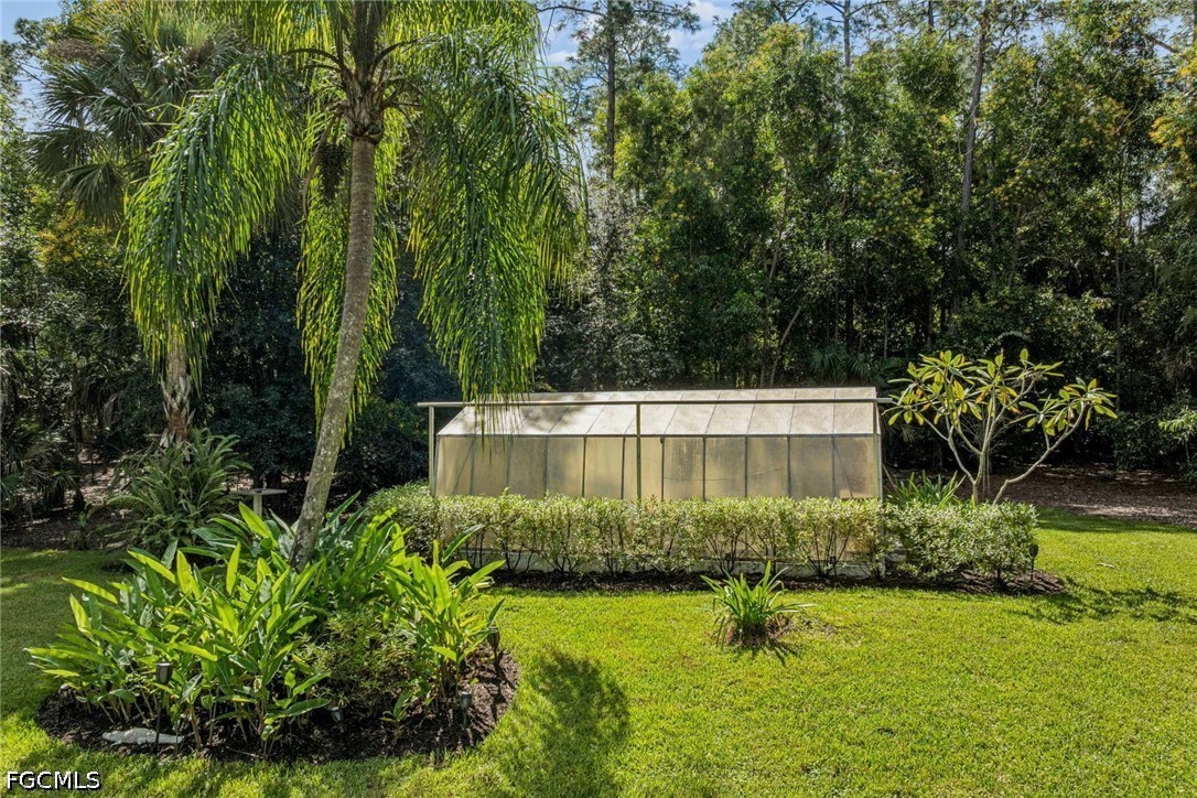 Yard