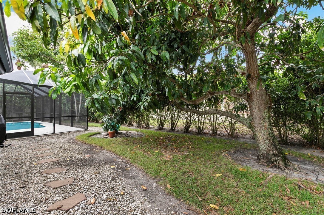 Yard