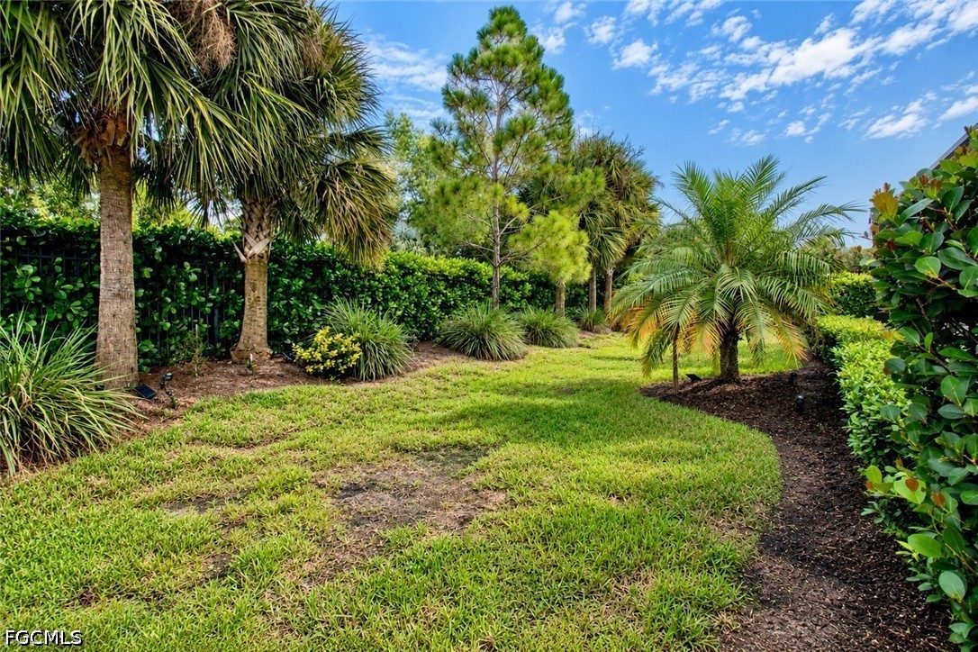 Yard