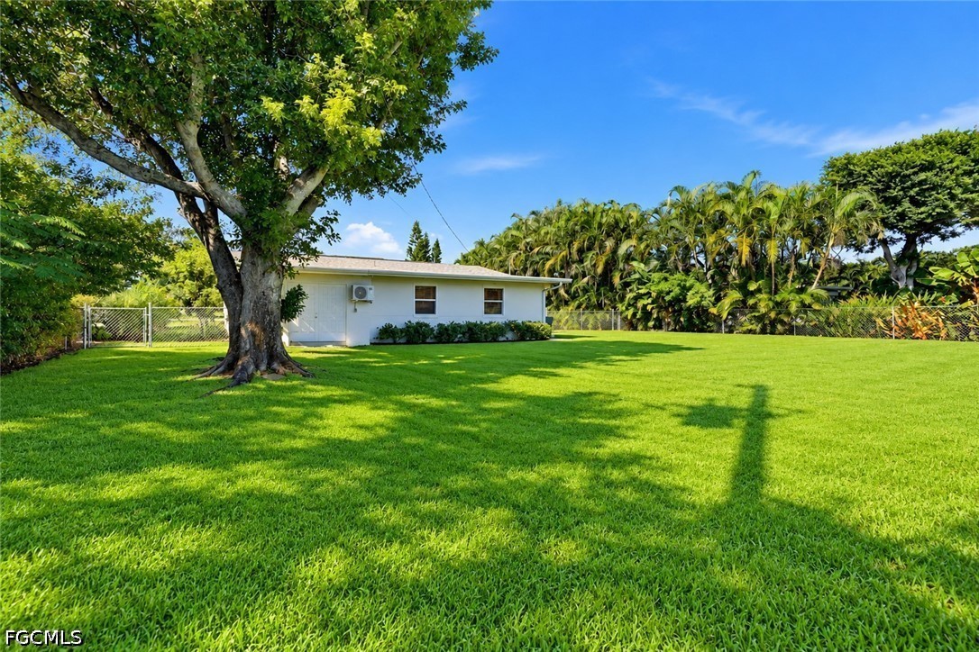 Yard