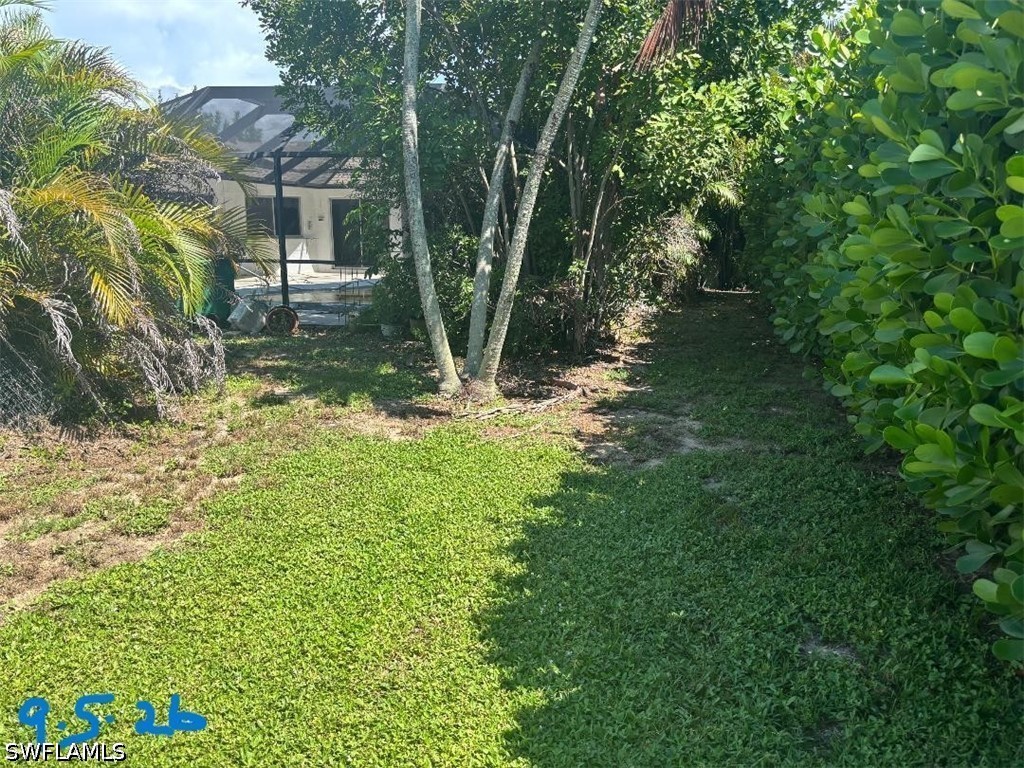 Yard