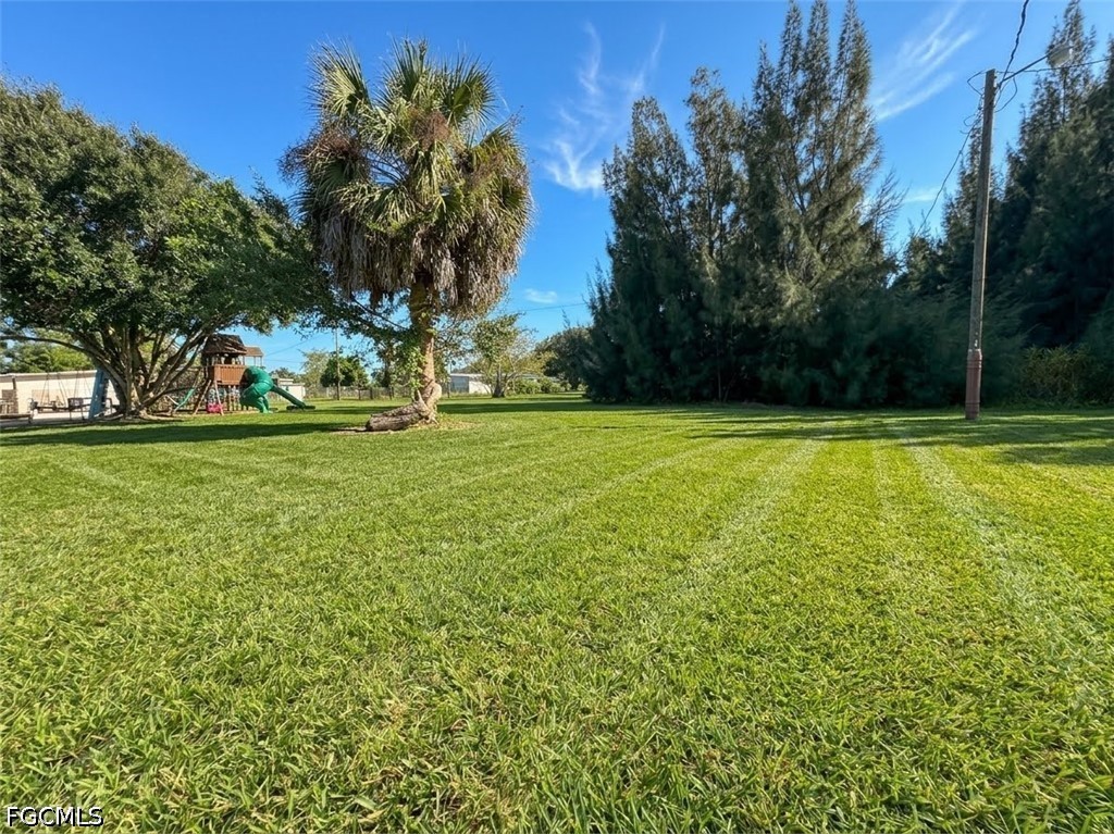 Yard