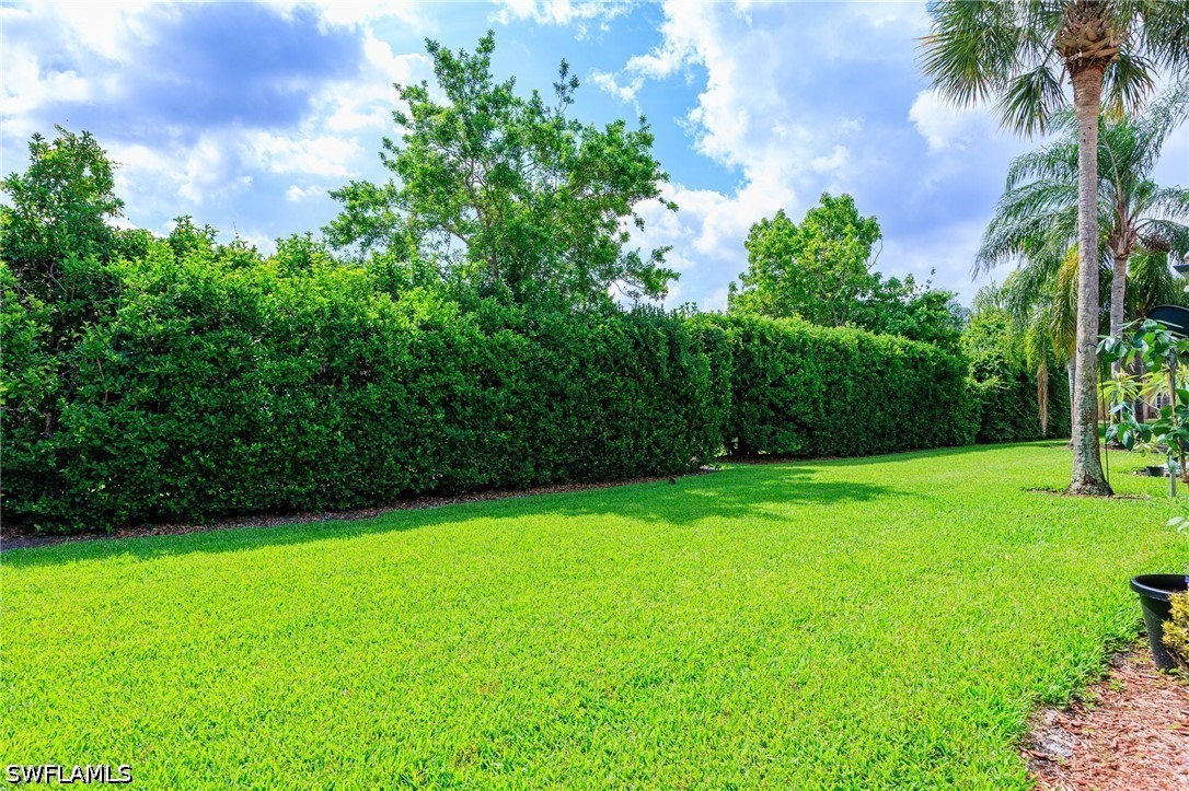 Yard