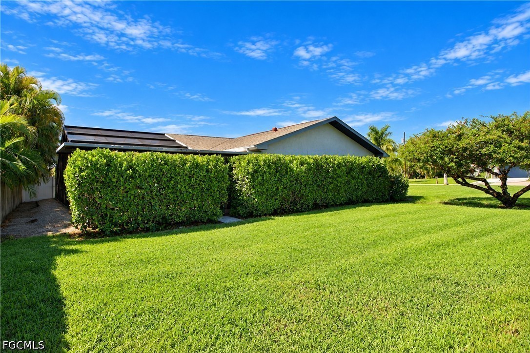 Yard