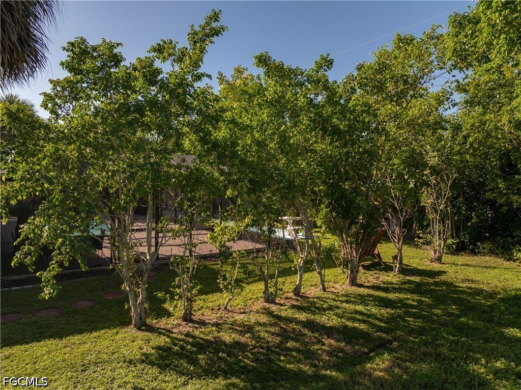 Yard