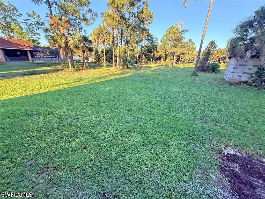 Yard