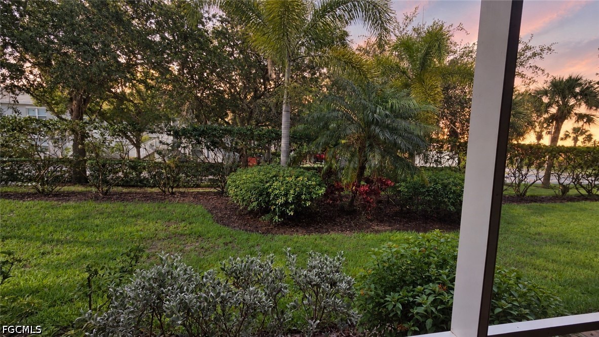 Yard