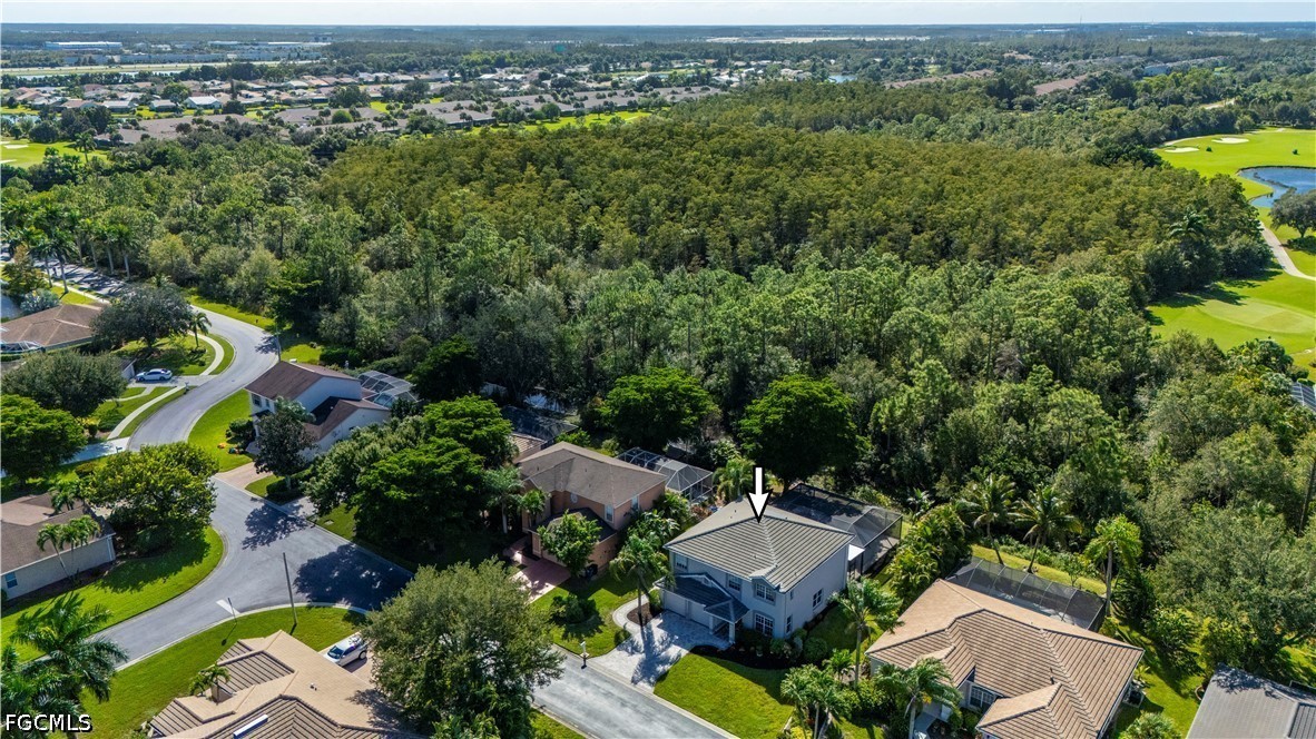 AerialView