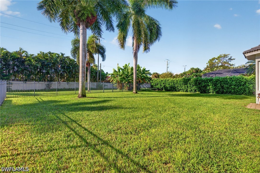 Yard