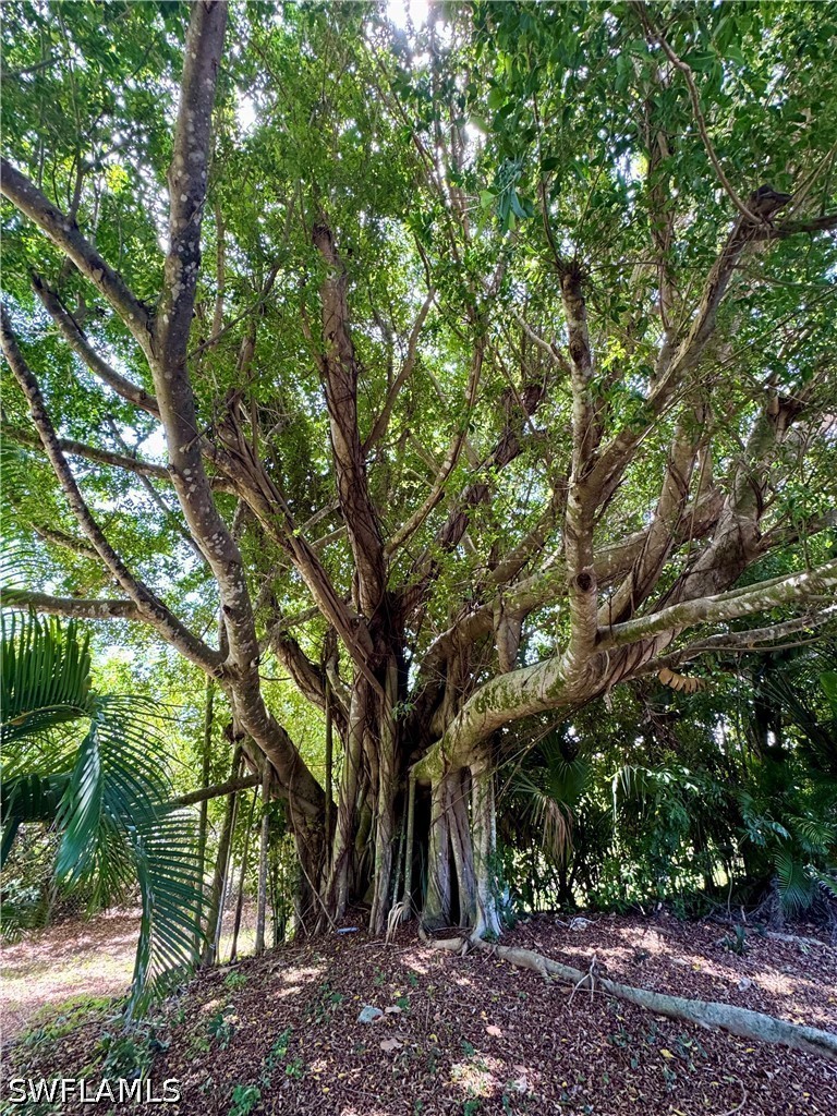 565 Kings Way, Naples, FL 34104