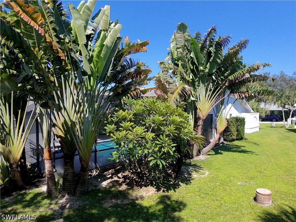 Yard