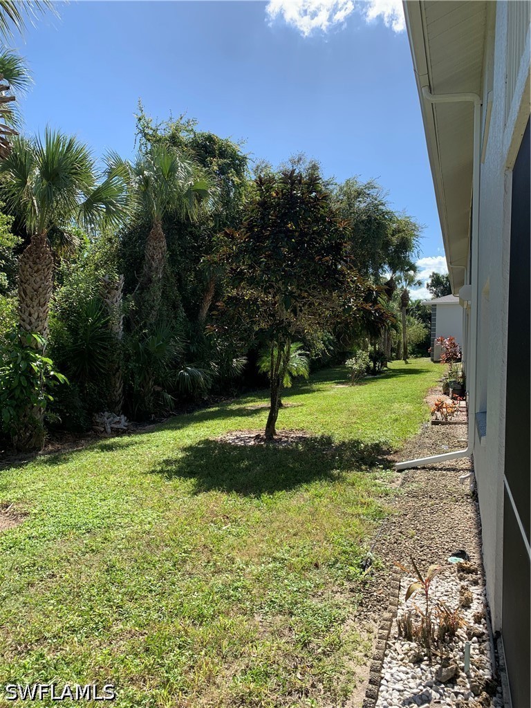 Yard