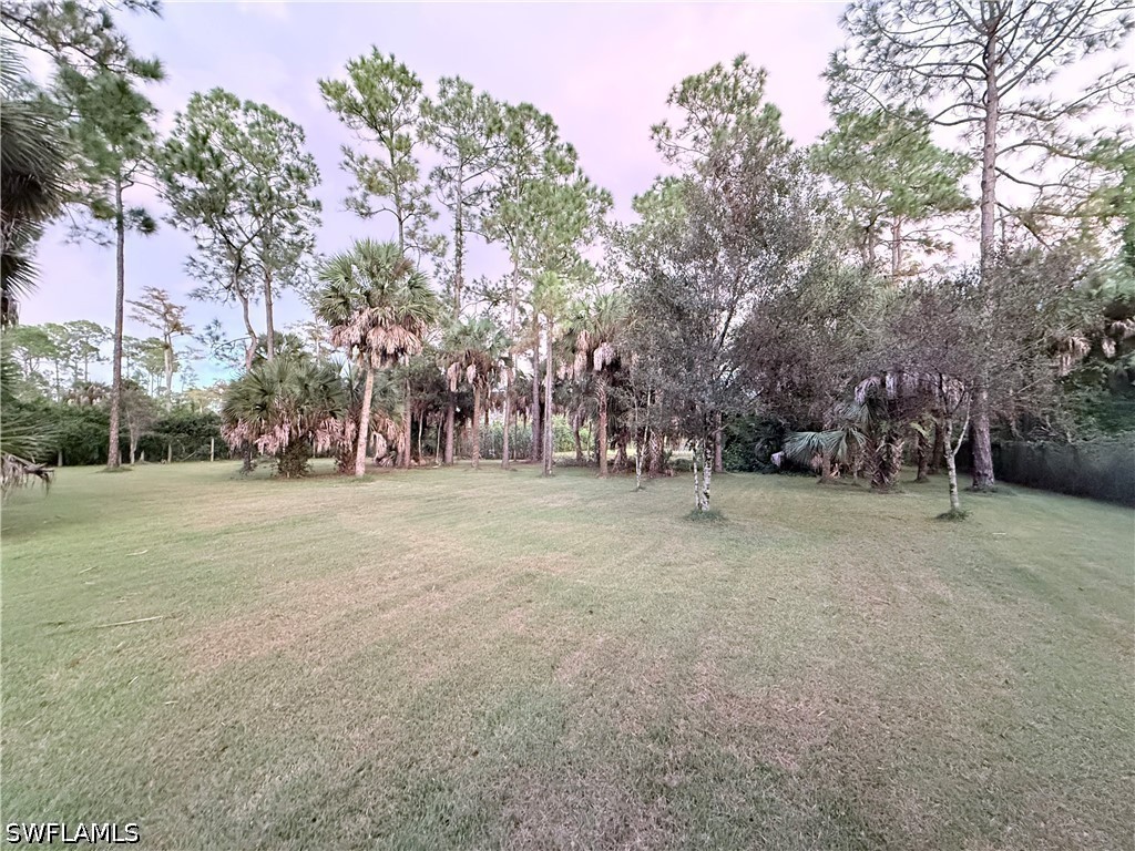 Yard