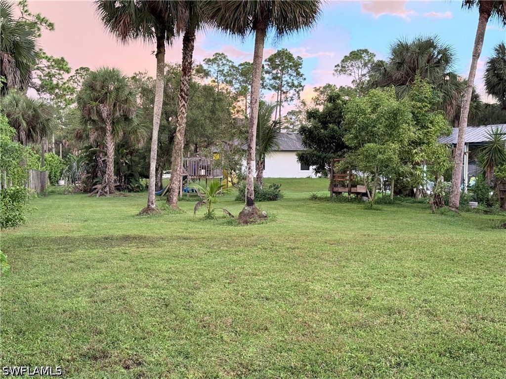 Yard