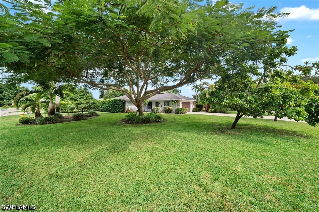 Yard