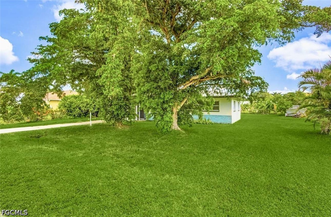 Yard
