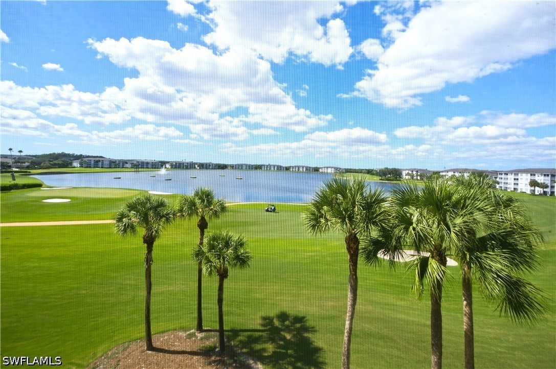 Community