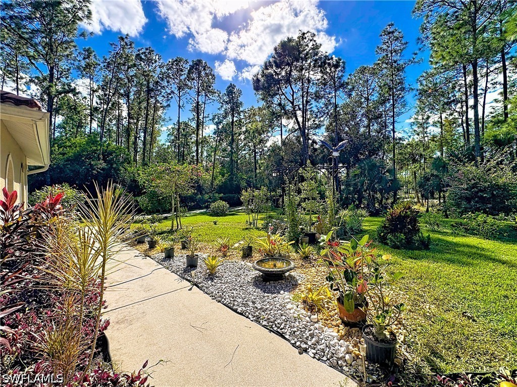 Yard